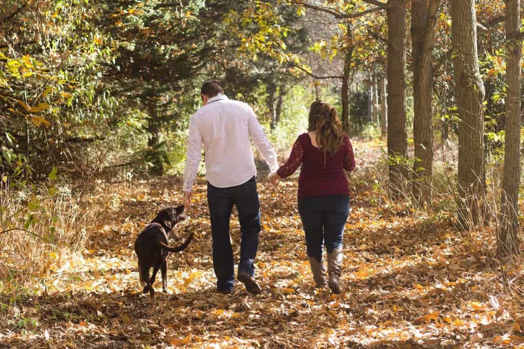 Couple walking their dog in a scenic Finnish forest near a pet-friendly cottage – Suomen Kotteria holidays in Kymenlaakso, South Finland