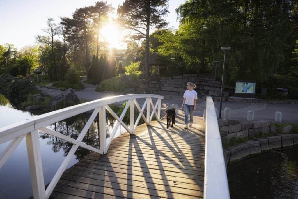 On Kaunissaari, there are beautiful walking trails where you can enjoy the stunning scenery.